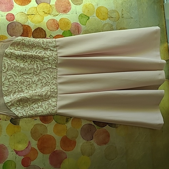 Dusty rose poly spandex  creates a lovely designer dress. I wish it fit me! - Picture 1 of 12